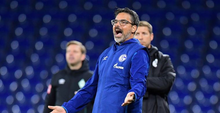 Schalke 04 grijpt na achttien duels zonder zege in: trainer Wagner ontslagen
