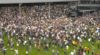 Heerlijke pitch invasion: Fulham en Tete kronen zich tot kampioen Championship