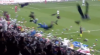 Emotionele beelden: Besiktas-fans gooien duizenden knuffels op het veld